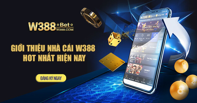 Đánh giá chi tiết W388